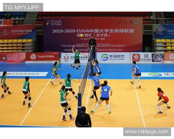 南京排球队的控制革新与发展探索全景分析