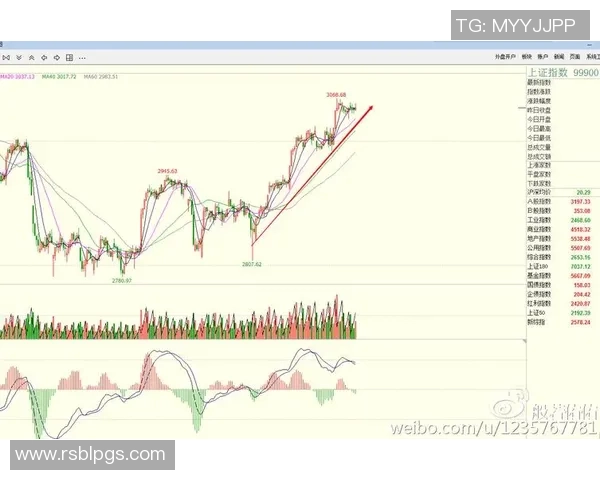 南京极限运动队的防守策略揭秘与训练深度分析