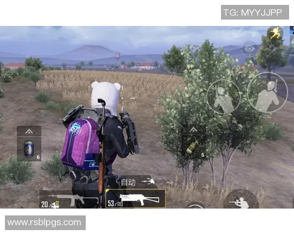 和平精英V5版本边路渗透策略深度解析与实战技巧分享